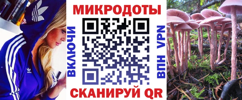 где купить наркотик  Шумиха  Галлюциногенные грибы мухоморы 